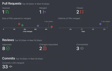 Screenshot of report summary